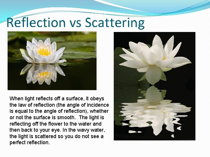 Reflection vs Scattering When light reflects off a surface, it obeys the law of