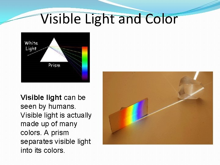 Visible Light and Color Visible light can be seen by humans. Visible light is