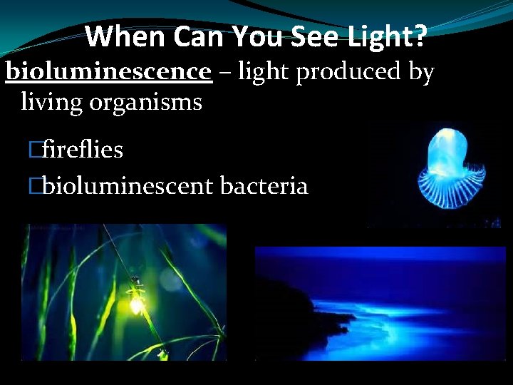 When Can You See Light? bioluminescence – light produced by living organisms �fireflies �bioluminescent