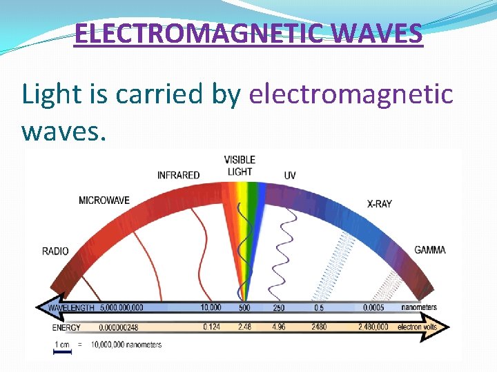 ELECTROMAGNETIC WAVES Light is carried by electromagnetic waves. 