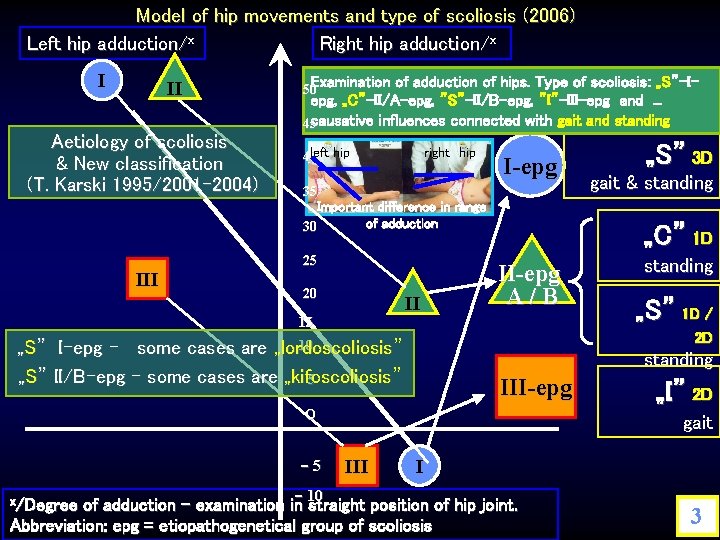 Model of hip movements and type of scoliosis (2006) Left hip adduction/x Right hip