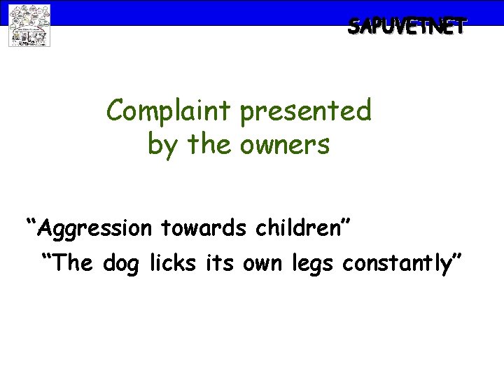 Complaint presented by the owners “Aggression towards children” “The dog licks its own legs