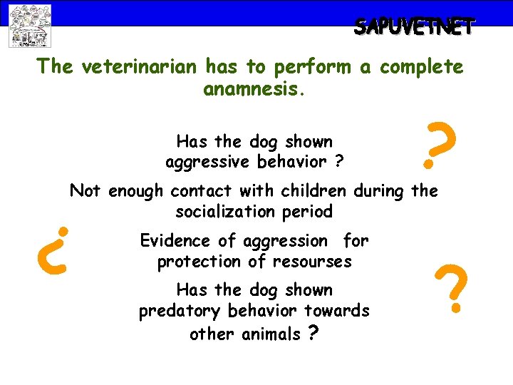 The veterinarian has to perform a complete anamnesis. Has the dog shown aggressive behavior