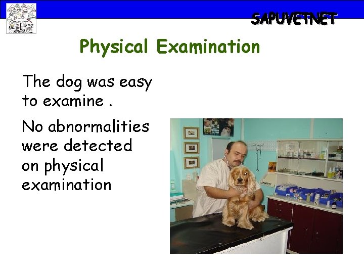 Physical Examination The dog was easy to examine. No abnormalities were detected on physical