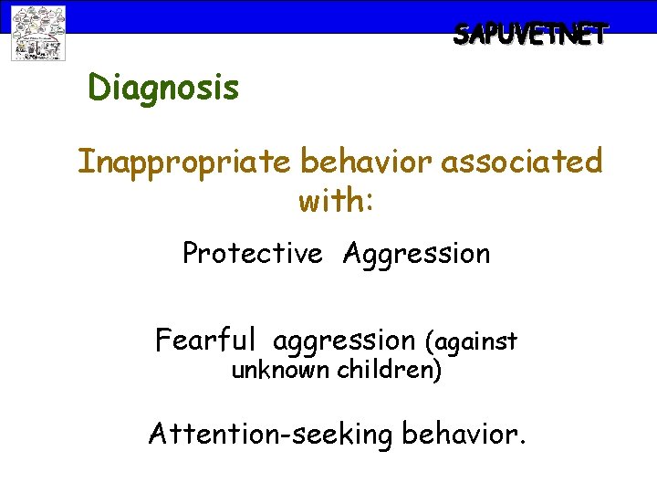 Diagnosis Inappropriate behavior associated with: Protective Aggression Fearful aggression (against unknown children) Attention-seeking behavior.