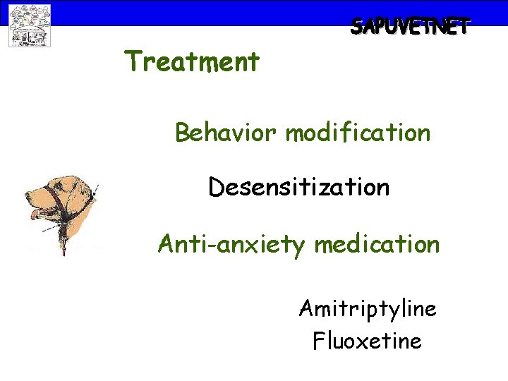 Treatment Behavior modification Desensitization Anti-anxiety medication Amitriptyline Fluoxetine 