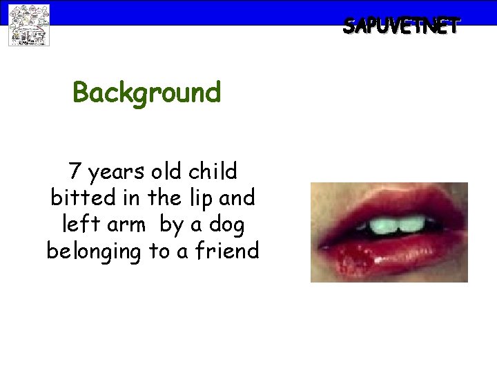 Background 7 years old child bitted in the lip and left arm by a