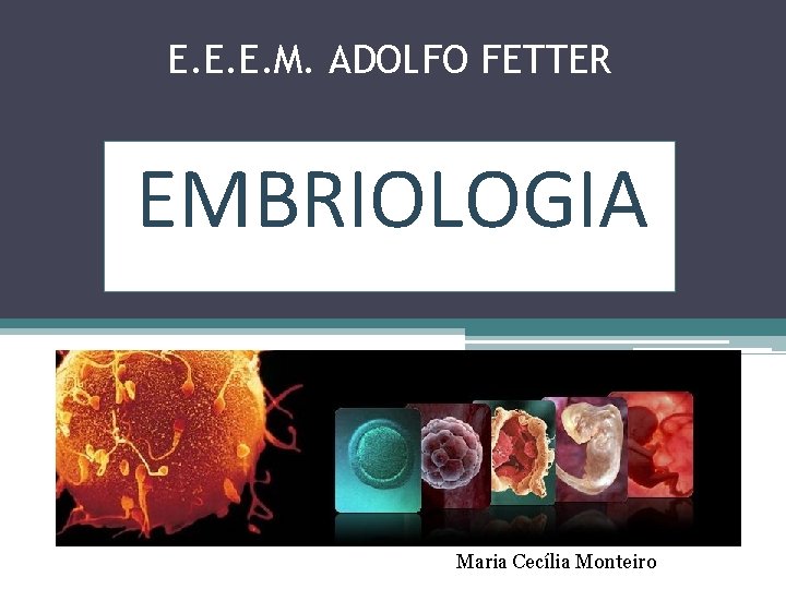 E. E. E. M. ADOLFO FETTER EMBRIOLOGIA Maria Cecília Monteiro 