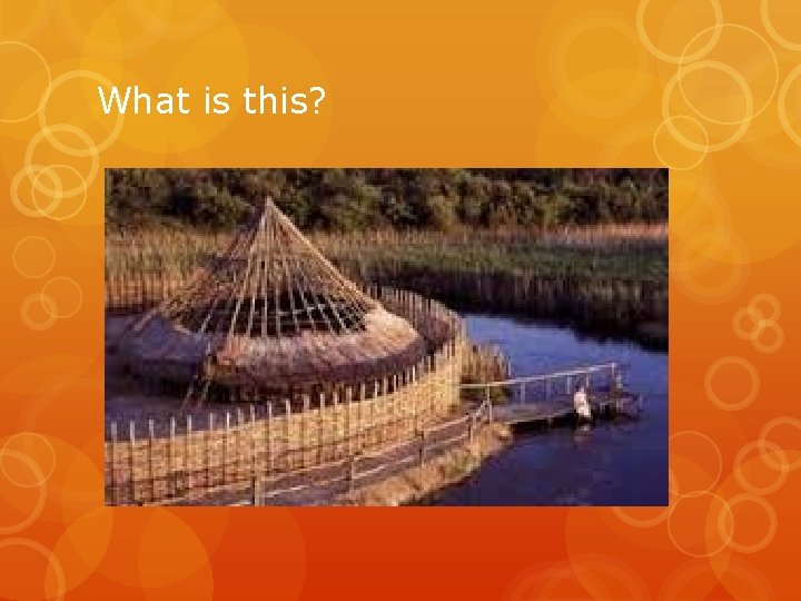 What is this? What is this?