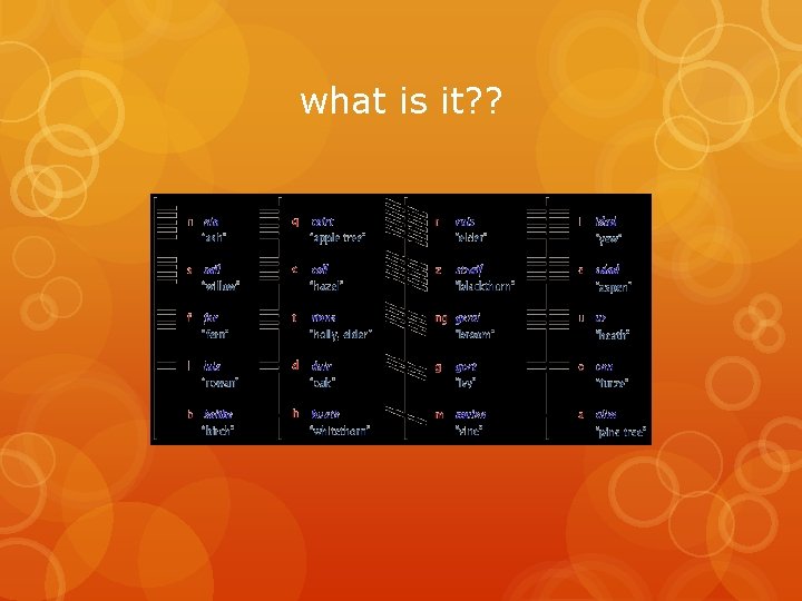 what is it? ? what is it? ?