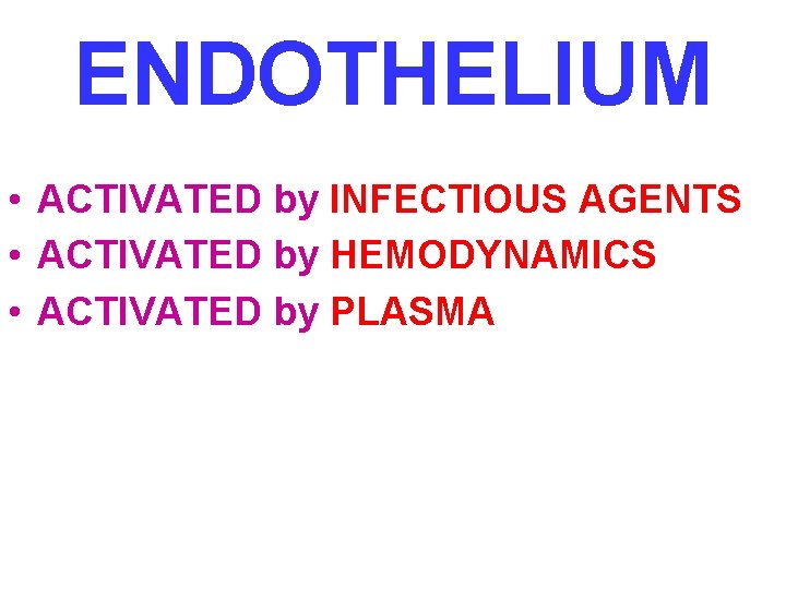 ENDOTHELIUM • ACTIVATED by INFECTIOUS AGENTS • ACTIVATED by HEMODYNAMICS • ACTIVATED by PLASMA