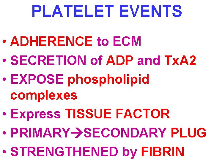 PLATELET EVENTS • ADHERENCE to ECM • SECRETION of ADP and Tx. A 2