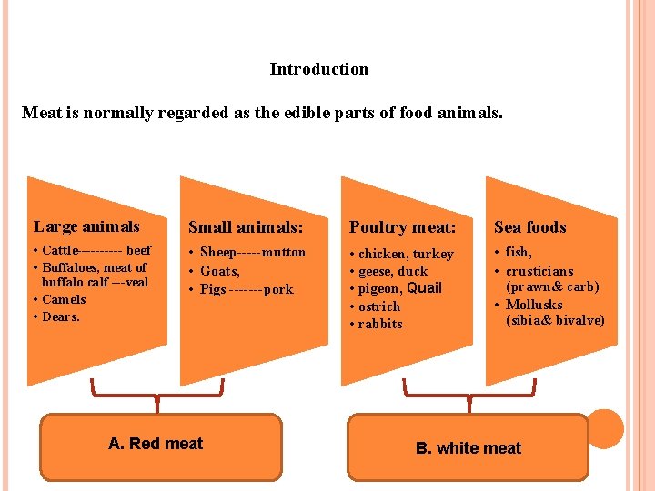 Introduction Meat is normally regarded as the edible parts of food animals. Large animals