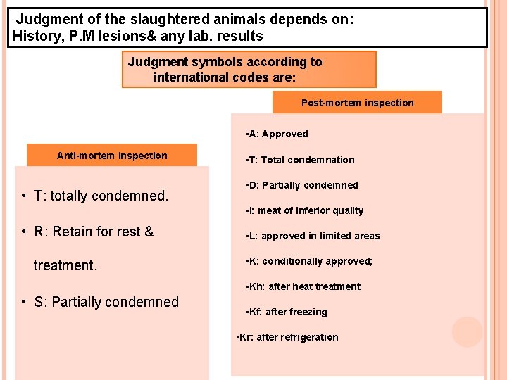  Judgment of the slaughtered animals depends on: History, P. M lesions& any lab.