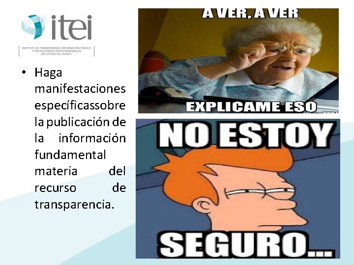  • Haga manifestaciones específicassobre la publicación de la información fundamental materia del recurso