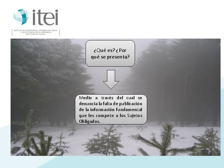 ¿Qué es? ¿Por qué se presenta? Medio a través del cual se denuncia la