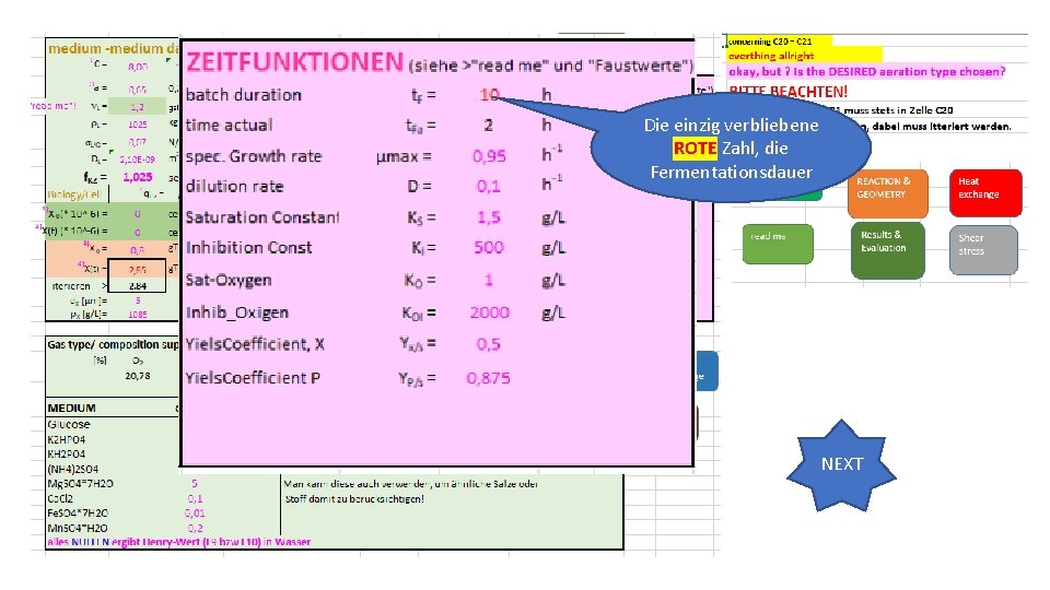 Die einzig verbliebene ROTE Zahl, die Fermentationsdauer NEXT 