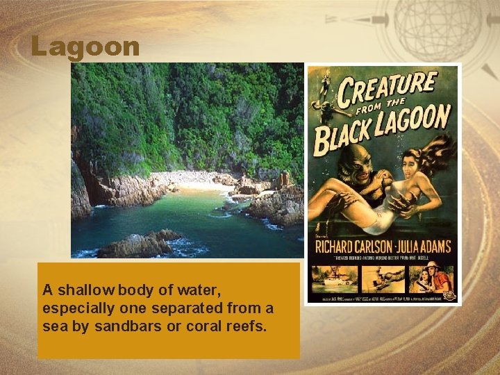 Lagoon A shallow body of water, especially one separated from a sea by sandbars