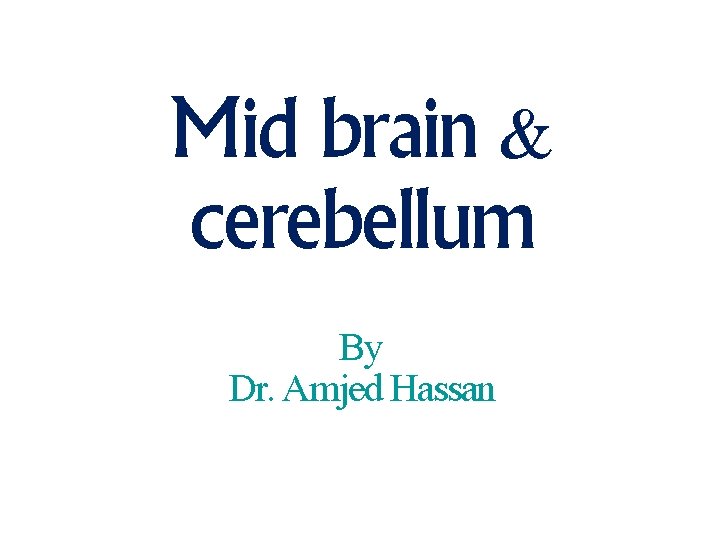 Mid brain & cerebellum By Dr. Amjed Hassan 