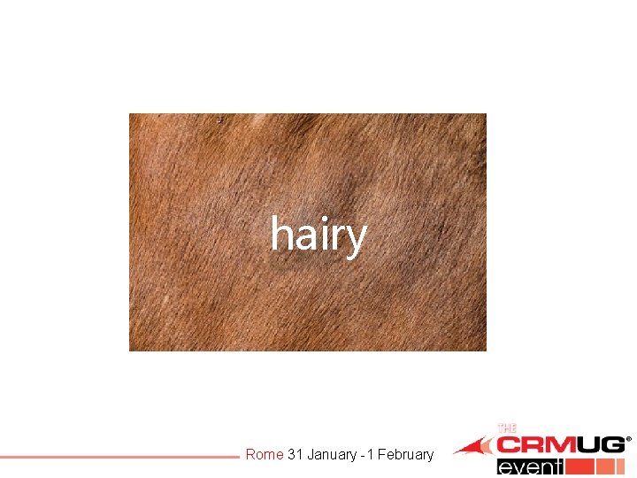 hairy Rome 31 January -1 February 