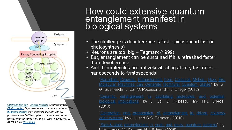 How could extensive quantum entanglement manifest in biological systems • The challenge is decoherence