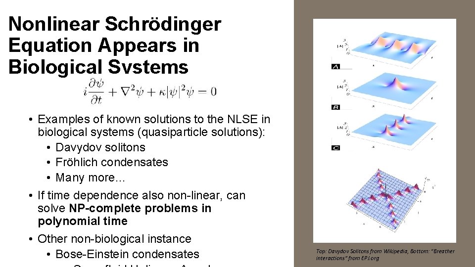 Nonlinear Schrödinger Equation Appears in Biological Systems • Examples of known solutions to the