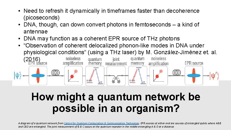  • Need to refresh it dynamically in timeframes faster than decoherence (picoseconds) •