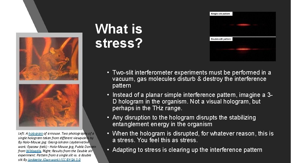 What is stress? • Two-slit interferometer experiments must be performed in a vacuum, gas