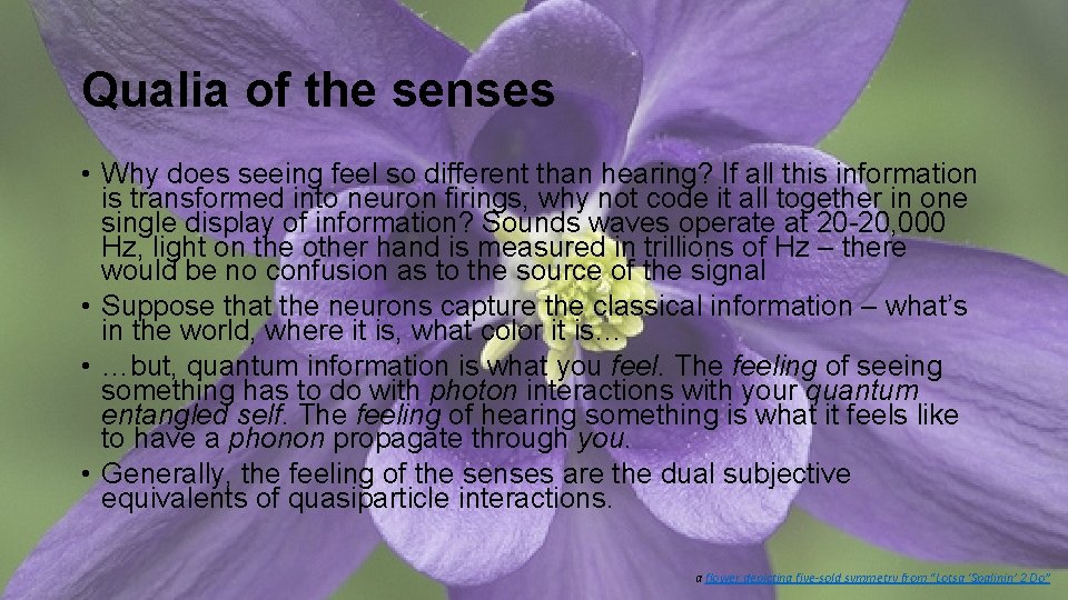 Qualia of the senses • Why does seeing feel so different than hearing? If