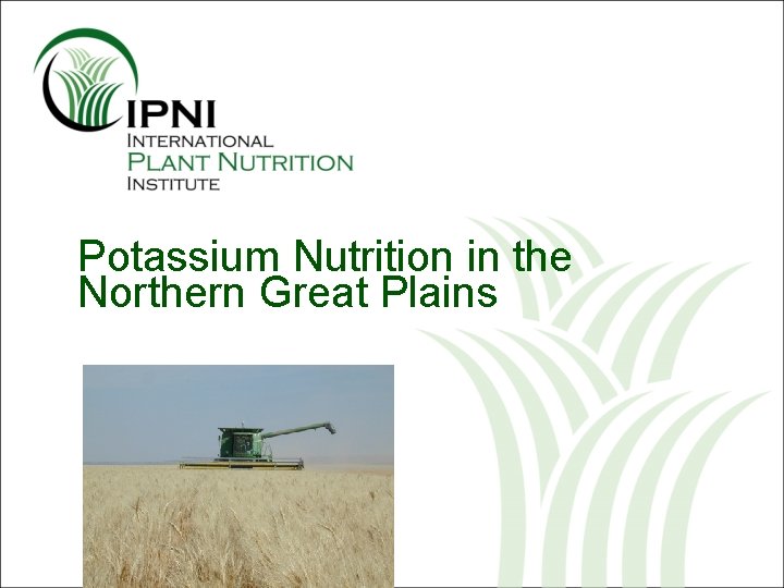 Potassium Nutrition in the Northern Great Plains 