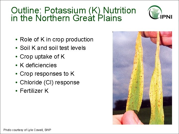 Outline: Potassium (K) Nutrition in the Northern Great Plains • • Role of K