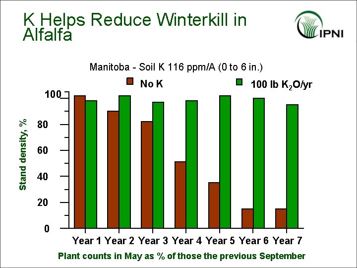 K Helps Reduce Winterkill in Alfalfa Manitoba - Soil K 116 ppm/A (0 to