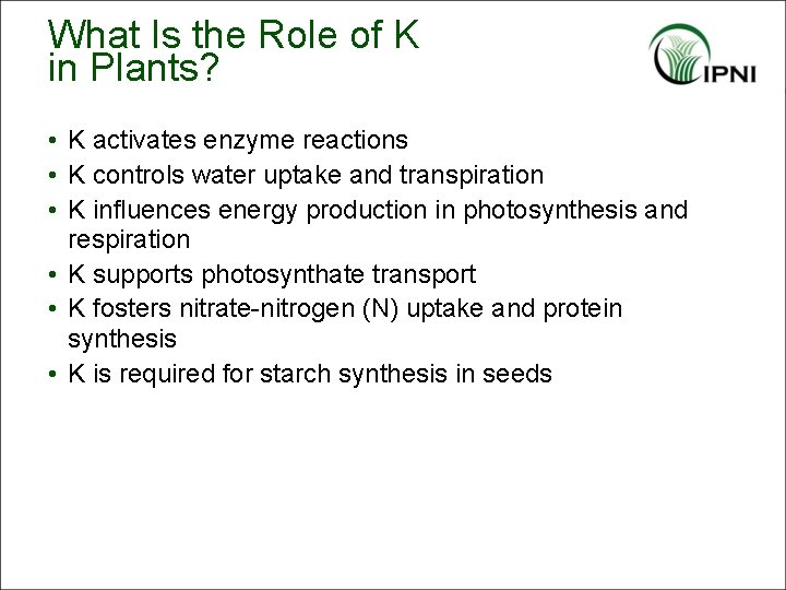 What Is the Role of K in Plants? • K activates enzyme reactions •