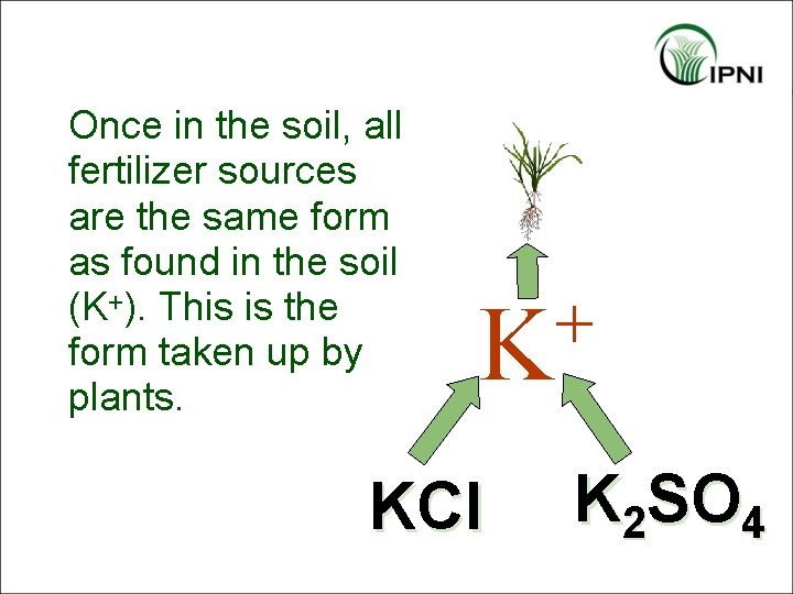 Once in the soil, all fertilizer sources are the same form as found in