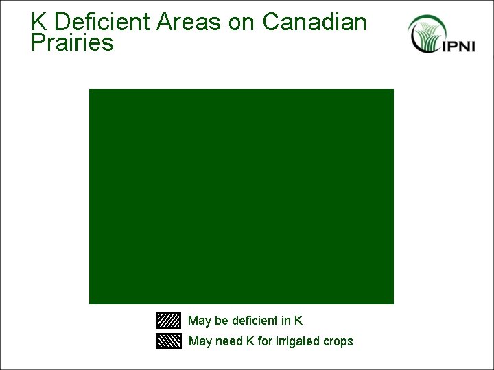 K Deficient Areas on Canadian Prairies May be deficient in K May need K