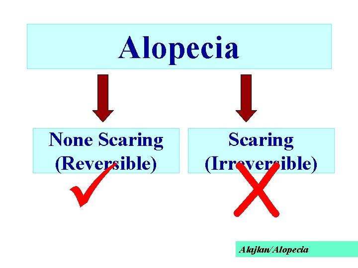 Alopecia None Scaring (Reversible) ü. Scaring (Irreversible) X Alajlan/Alopecia 