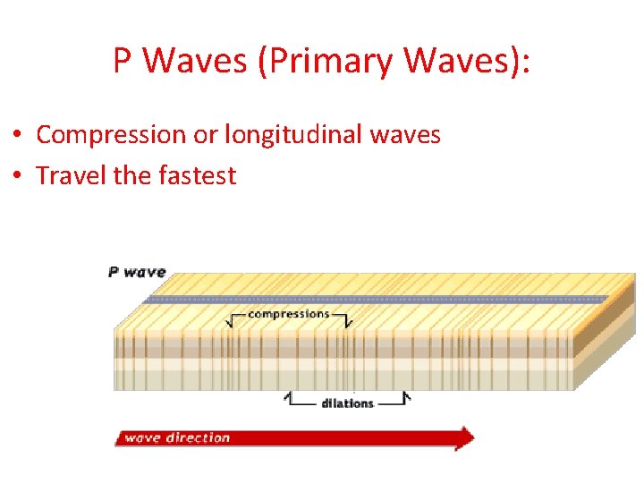 P Waves (Primary Waves): • Compression or longitudinal waves • Travel the fastest 