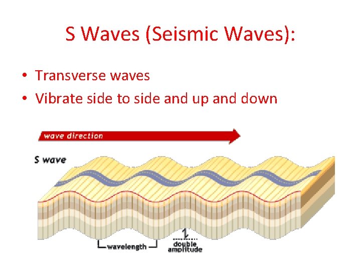 S Waves (Seismic Waves): • Transverse waves • Vibrate side to side and up