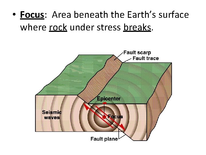  • Focus: Area beneath the Earth’s surface where rock under stress breaks. 