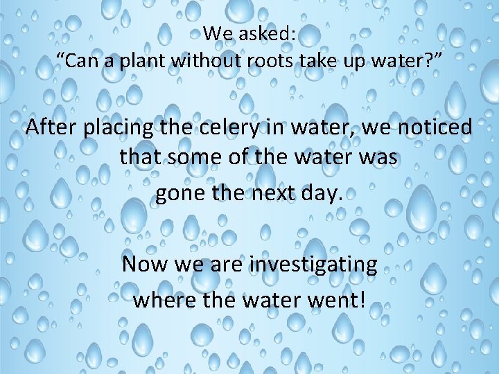 We asked: “Can a plant without roots take up water? ” After placing the