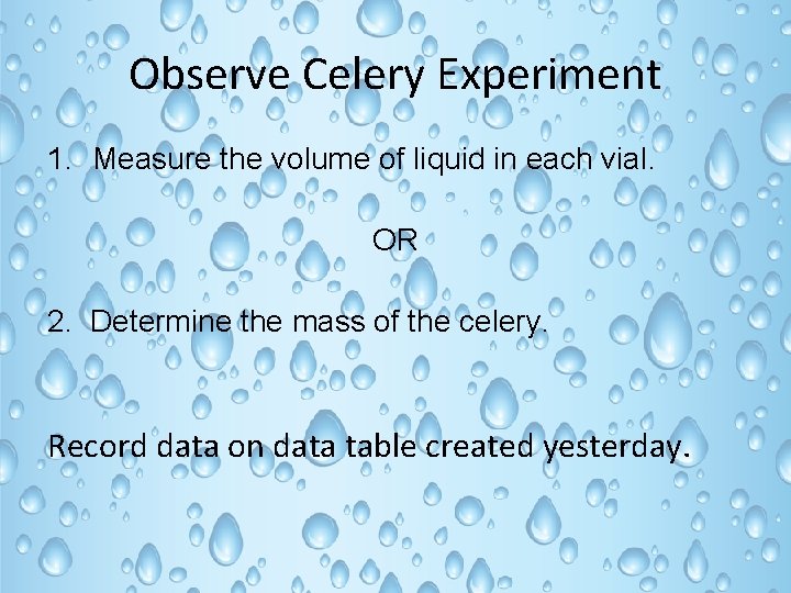 Observe Celery Experiment 1. Measure the volume of liquid in each vial. OR 2.