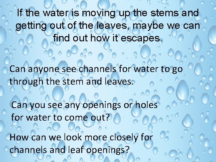 If the water is moving up the stems and getting out of the leaves,