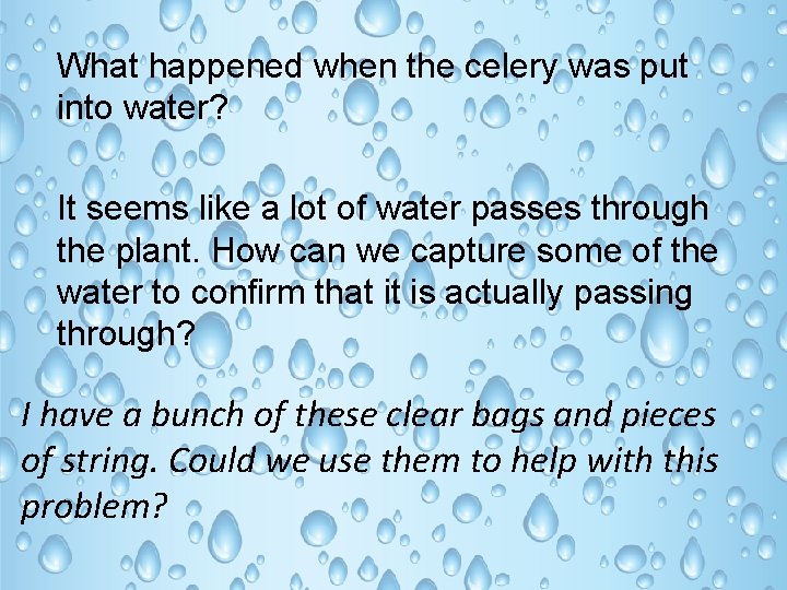 What happened when the celery was put into water? It seems like a lot