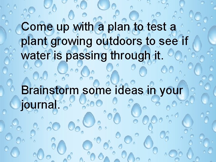 Come up with a plan to test a plant growing outdoors to see if