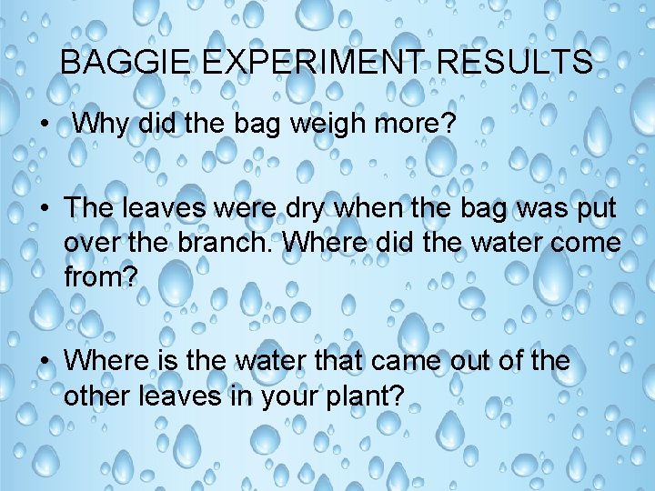 BAGGIE EXPERIMENT RESULTS • Why did the bag weigh more? • The leaves were