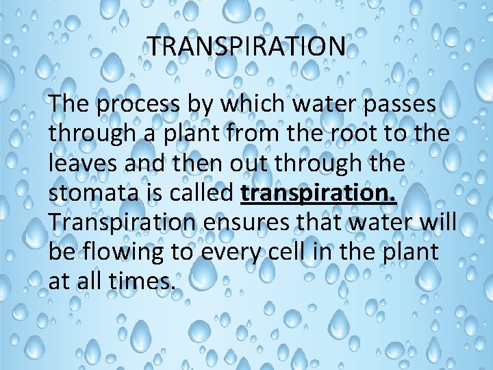 TRANSPIRATION The process by which water passes through a plant from the root to