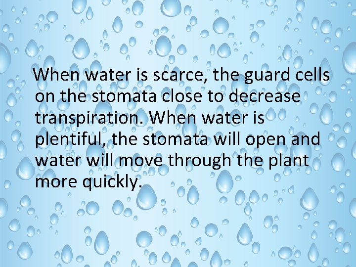 When water is scarce, the guard cells on the stomata close to decrease transpiration.