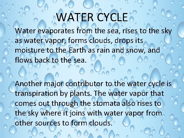 WATER CYCLE Water evaporates from the sea, rises to the sky as water vapor,