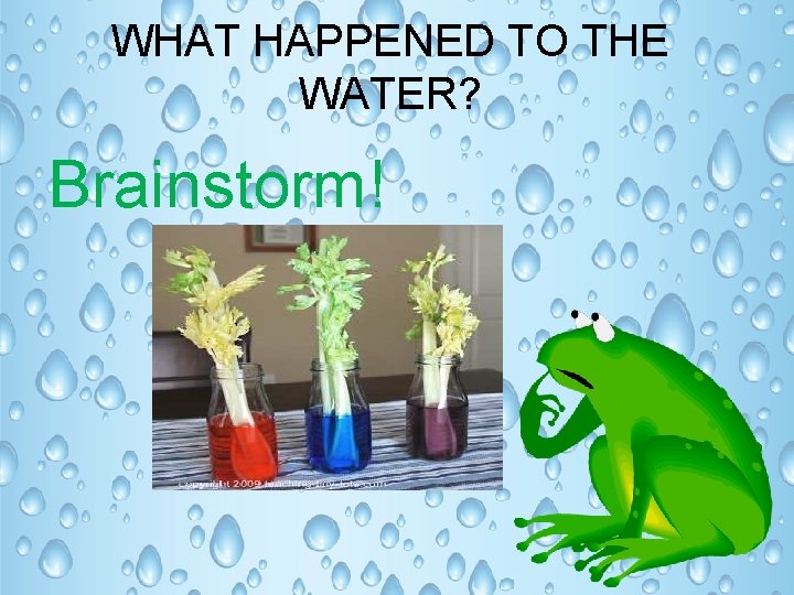 WHAT HAPPENED TO THE WATER? Brainstorm! 