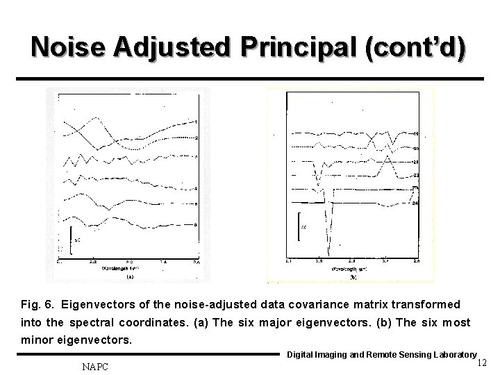 Noise Adjusted Principal (cont’d) Fig. 6. Eigenvectors of the noise-adjusted data covariance matrix transformed